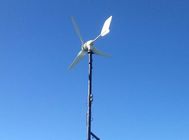 3 Blades Wind Turbine 300W Small Power Wind Generator Efisiensi Tinggi Low Wind Start Up Untuk Rumah Untuk Lampu Jalan